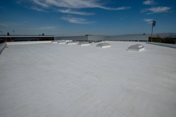 Best Steel Roofing  in Danville, CA
