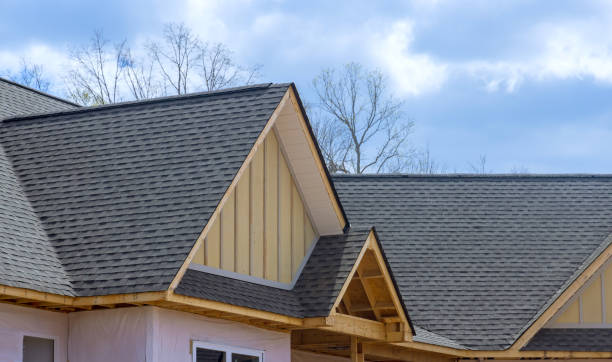 Best Rubber Roofing (EPDM, TPO)  in Danville, CA